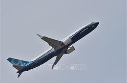 Nhật Bản cấm vận hành máy bay Boeing 737 MAX trong không phận