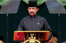 Việt Nam-Brunei tăng cường hợp tác trên các lĩnh vực