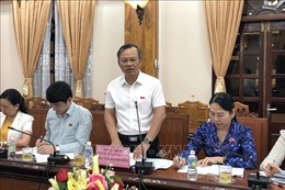 Đoàn giám sát Ủy ban Đối ngoại của Quốc hội làm việc tại tỉnh Bình Định