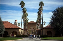 Đại học Stanford buộc thôi học sinh viên &#39;chạy trường&#39;