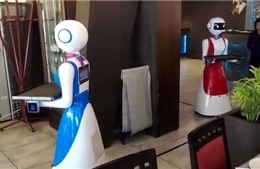 Một nhà hàng Italy sử dụng robot làm nhân viên phục vụ bàn