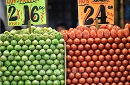 Áp thuế cao đối với cà chua, Mỹ lại gây căng thẳng thương mại với Mexico