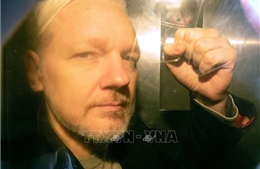 Nhà sáng lập WikiLeaks chịu sự &#39;tra tấn tâm lý&#39; trong thời gian dài