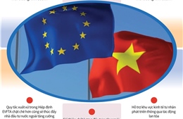 EVIPA giúp Việt Nam cải thiện chất lượng đầu tư nước ngoài