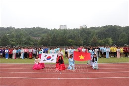 Sôi động Giải bóng đá ICFood Cup của sinh viên Việt Nam tại Hàn Quốc