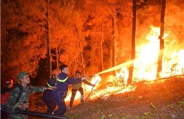 Phó Thủ tướng Vương Đình Huệ thị sát, chỉ đạo chữa cháy rừng tại Hà Tĩnh