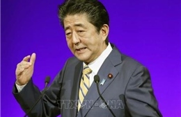 Thủ tướng Nhật Bản nêu các nội dung hội đàm song phương tại Hội nghị G20 