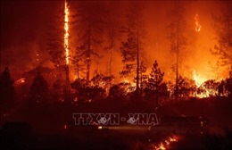 Cháy rừng lan rộng ở Canada, hàng chục nghìn người phải sơ tán
