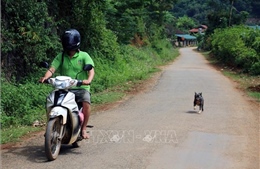 Cháu bé 10 tuổi tử vong do bệnh dại 