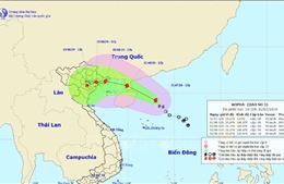 Nam Định sẵn sàng ứng phó với diễn biến khó lường của bão số 3