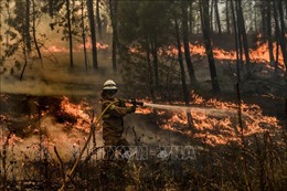 Bồ Đào Nha đã kiểm soát được các đám cháy rừng lớn ở miền Trung