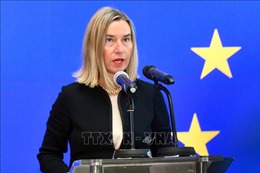 EU ưu tiên giải pháp ngoại giao trong vấn đề hạt nhân Iran