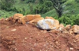 Làm rõ việc khai thác đá trái phép tại khu đất rừng do Trung đoàn 726 quản lý
