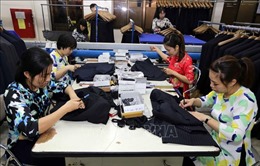 Xuất khẩu dệt may sang Nhật Bản: Tạo dựng thương hiệu bằng chất lượng