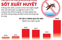 Cấp bách các biện pháp phòng chống sốt xuất huyết