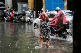 Vùng núi phía Bắc, Đắk Lắk và Lâm Đồng mưa to, nguy cơ cao lũ quét, sạt lở đất, ngập úng