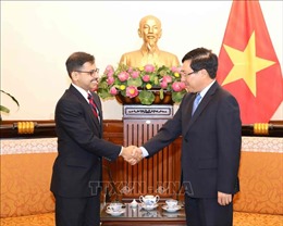 Phó Thủ tướng Phạm Bình Minh tiếp Đại sứ Cộng hòa Ấn Độ tại Việt Nam