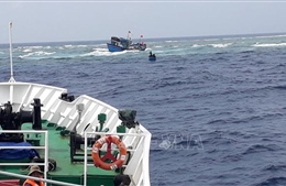 46 ngư dân Quảng Ngãi gặp nạn trên biển đã trở về đất liền an toàn