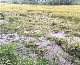 Thừa Thiên - Huế tập trung khắc phục thiệt hại do áp thấp nhiệt đới