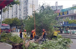 Triều Tiên nỗ lực khắc phục thiệt hại bão Lingling