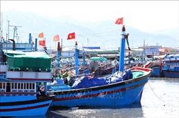 Những tàu cá vô chủ ở cảng Tịnh Hoà