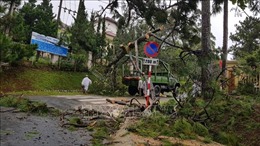 Mưa lốc khiến nhiều nhà dân ở Lâm Đồng bị tốc mái, cây xanh bật gốc