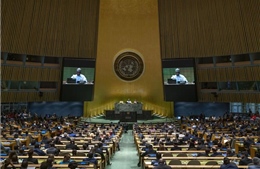 Hợp tác đa phương để giải quyết các vấn đề toàn cầu