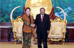 Chủ tịch Quốc hội Nguyễn Thị Kim Ngân hội kiến Tổng Bí thư, Chủ tịch nước Lào