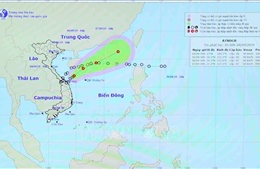 Theo dõi chặt chẽ diễn biến áp thấp nhiệt đới và tiếp tục tìm kiếm các thuyền viên mất tích