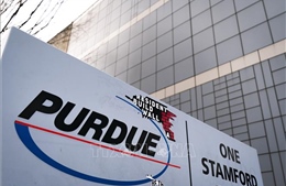 Purdue đệ đơn phá sản nhằm giải quyết khủng hoảng thuốc giảm đau opioid 