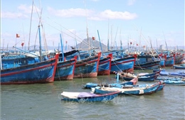 Kiên quyết ngăn chặn tàu cá vi phạm vùng biển nước ngoài