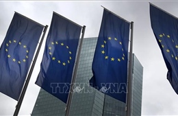 Giới chuyên gia cảnh báo kinh tế Eurozone đứng trước nguy cơ chững lại
