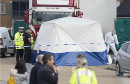 Vụ 39 thi thể trong xe tải ở Anh: Ba đối tượng tình nghi được tại ngoại