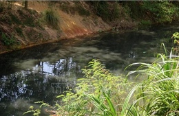 Xử lý ô nhiễm môi trường ở Khu công nghiệp Quảng Phú, Quảng Ngãi