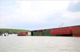 Cứu 7 thuyền viên trên tàu chở 1.500 tấn tro than bị chìm ở biển Mũi Né