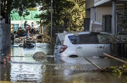 Nhật Bản lập nhóm đặc trách xử lý hậu quả của siêu bão Hagibis