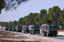 NATO hoan nghênh mọi đề xuất hướng tới hòa bình tại Đông Bắc Syria