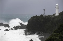 Vụ chìm tàu Panama trên vịnh Tokyo: Đã tìm thấy thi thể thủy thủ Nguyễn Văn Trì