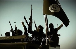 26 đối tượng nghi liên quan đến IS bị bắt ở Tây Bắc Thổ Nhĩ Kỳ
