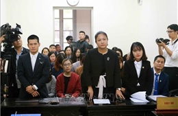 Hoãn phiên tòa phúc thẩm vụ tranh chấp vở diễn Tinh hoa Bắc Bộ