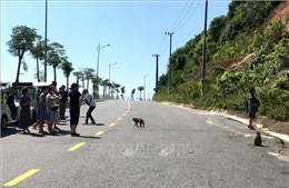 Đảm bảo an toàn cho du khách tham quan bán đảo Sơn Trà
