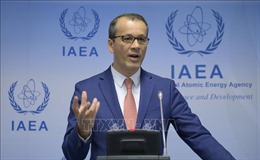  IAEA chỉ trích lệnh cấm của Iran nhằm vào một thanh sát viên quốc tế