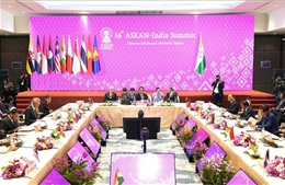 Thủ tướng Nguyễn Xuân Phúc dự Hội nghị Cấp cao ASEAN - Ấn Độ lần thứ 16