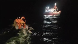 Hai sà lan gặp nạn tại khu vực đảo Phú Quý: Đã cứu được 5 thuyền viên 