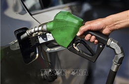 Giá dầu tăng mạnh trong tuần qua sau quyết định cắt giảm sản lượng của OPEC+