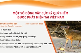 Một số động vật cực kỳ quý hiếm được phát hiện tại Việt Nam