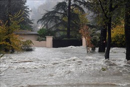 Pháp: Mưa bão khiến 2 người thiệt mạng, 1.000 hộ gia đình mất điện