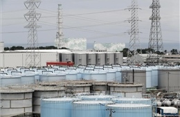Nhà máy Điện hạt nhân Fukushima số 1 bị nghi rò rỉ nước nhiễm phóng xạ