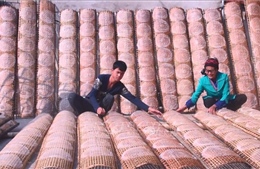 Hương vị Tết ở làng nghề làm bánh đa nem nổi tiếng xứ Thanh 