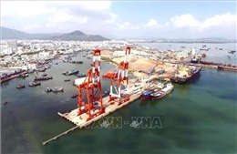 Cảng Quy Nhơn giảm giá dịch vụ bốc xếp 30%